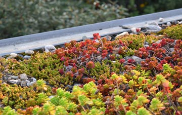 the cost of Purdysburn green roof installation