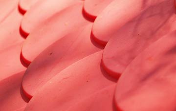 Purdysburn plastic roof costs