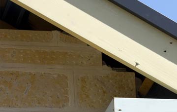 soffit repair Purdysburn