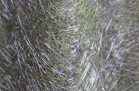 Purdysburn fibreglass roof work